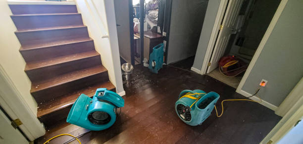Best Water damage restoration near me  in El Cerro, NM