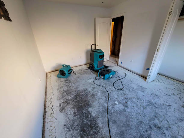 Best Basement water damage restoration  in El Cerro, NM