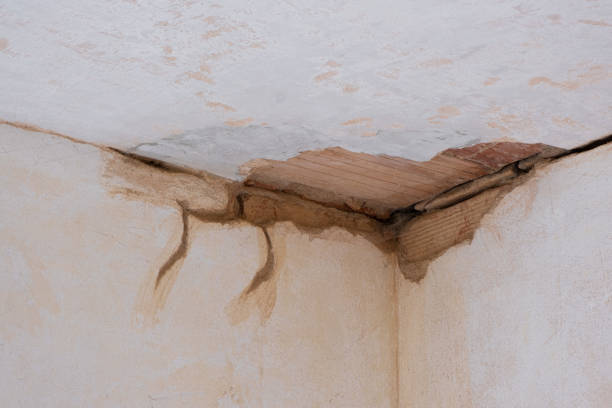 Best Basement water damage restoration  in El Cerro, NM