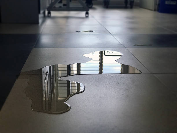 24/7 water damage repair in El Cerro, NM