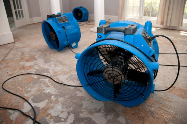El Cerro, NM Water damage restoration Company