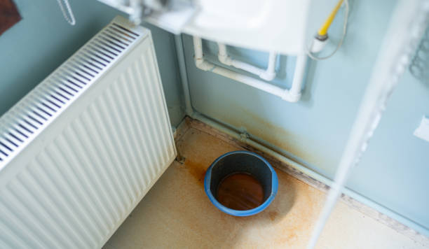 Best Ceiling water damage repair  in El Cerro, NM
