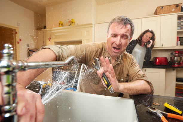 Best Flooded house restoration  in El Cerro, NM